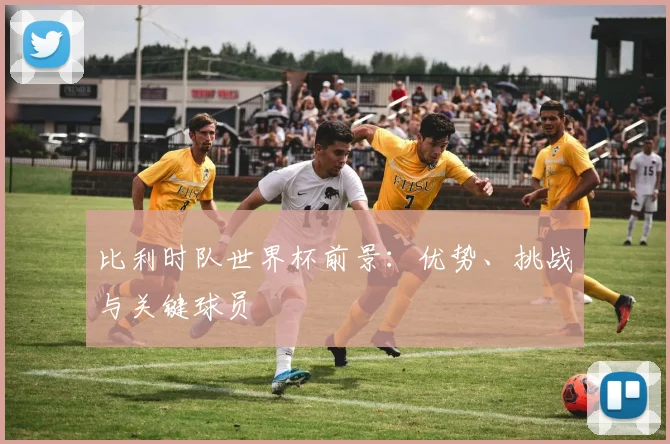 比利时队世界杯前景：优势、挑战与关键球员