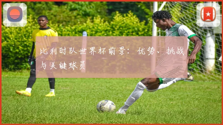比利时队世界杯前景：优势、挑战与关键球员
